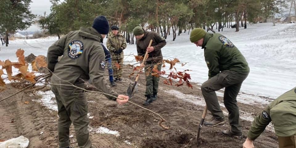 Члени громадської організації «Армада Карпат» висаджують молоді дерева. Фото з сайту https://beregovolh.com.ua/